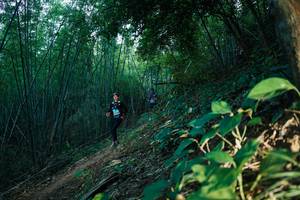 BIB: 
                            <button type="button" onclick="openModal(28124837)" class="btn btn-primary btn-sm float-right btn-popup" data-toggle="modal" data-target=".modal-high-quality">
                        <i class="fas fa-shopping-cart"></i> Add to Cart
                    </button>
                                            <button type="button" onclick="isThisMe(28124837, true)" class="btn btn-success btn-sm float-right btn-popup btn-isme hidden" data-toggle="tooltip" data-placement="bottom" title="นี่คือรูปของคุณใช่ไหม คลิกที่นี่เพื่อเอาเข้าอัลบั้ม">
                        <i class="fas fa-plus"></i> Add to album
                    </button>
                    <button type="button" onclick="isThisMe(28124837, false)" class="btn btn-warning btn-sm float-right btn-popup btn-isnotme hidden">
                        <i class="fas fa-ban"></i> Remove from album
                    </button>